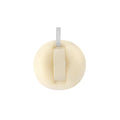 Loofah Sponge