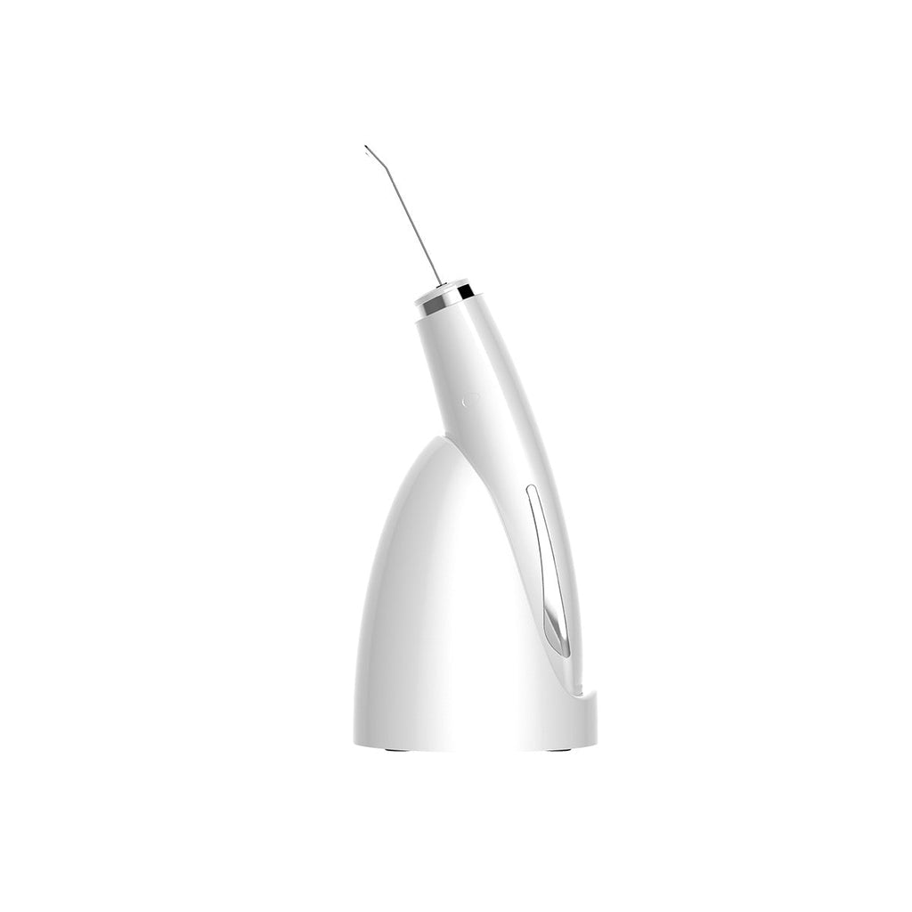 Ultrasonic Cleansing & Lifting Beauty Device